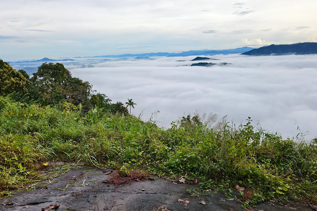 saramkuthi-view-point-kudayathoor