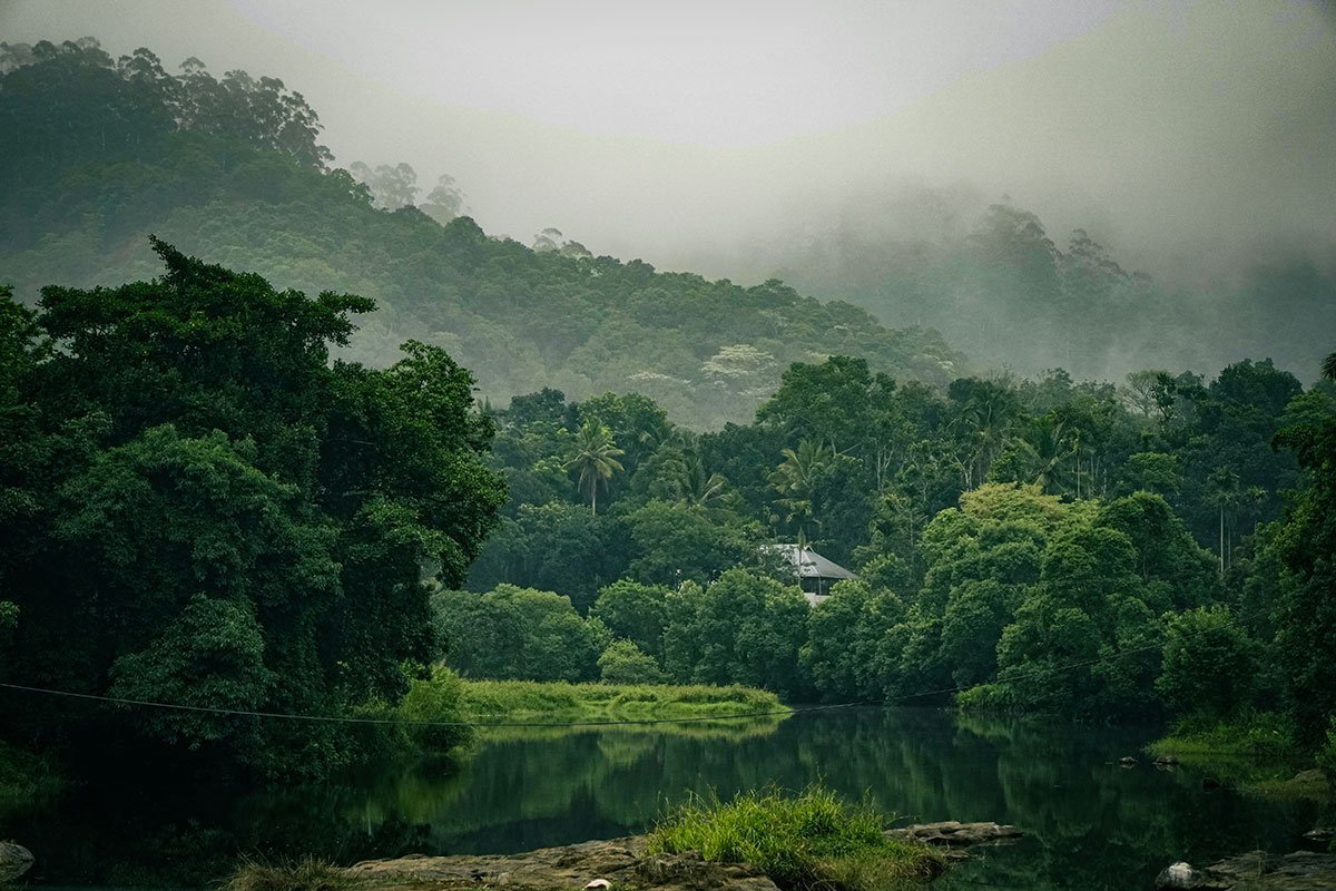 thekkady.jpg