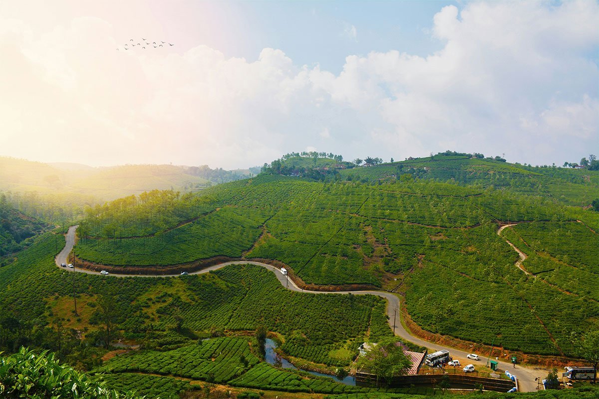 vagamon.jpg